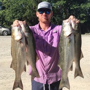 Meet your Posher, Jared